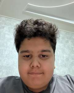 Amir Akhmadiyar Скепсис
