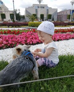Алиса Склярова Ярость