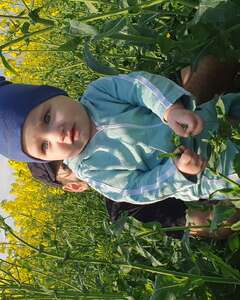 Акоп Аракелян Стыд