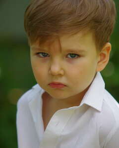 Михаил Соколов Ярость