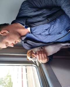 Роман Аксенюк Задумчивость