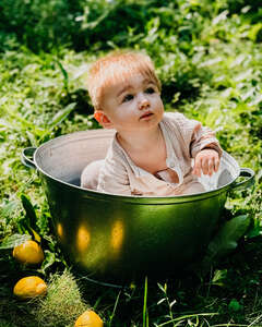 Александр Баум Задумчивость