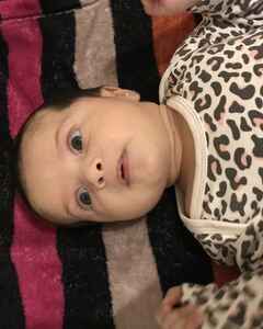 Альбина Кулиева Удивление