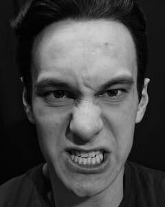 Владимир Нестеров Ярость