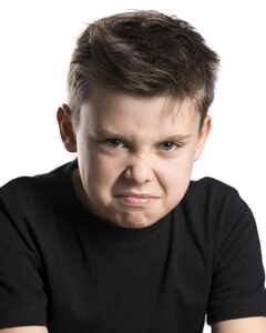 Родион Михайлов Ярость