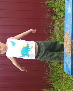 Тимофей Шевченко Грусть