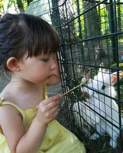 Юлия Явид Слёзы