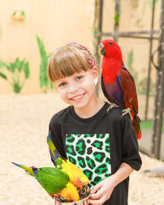 Вера Соснина Удивление