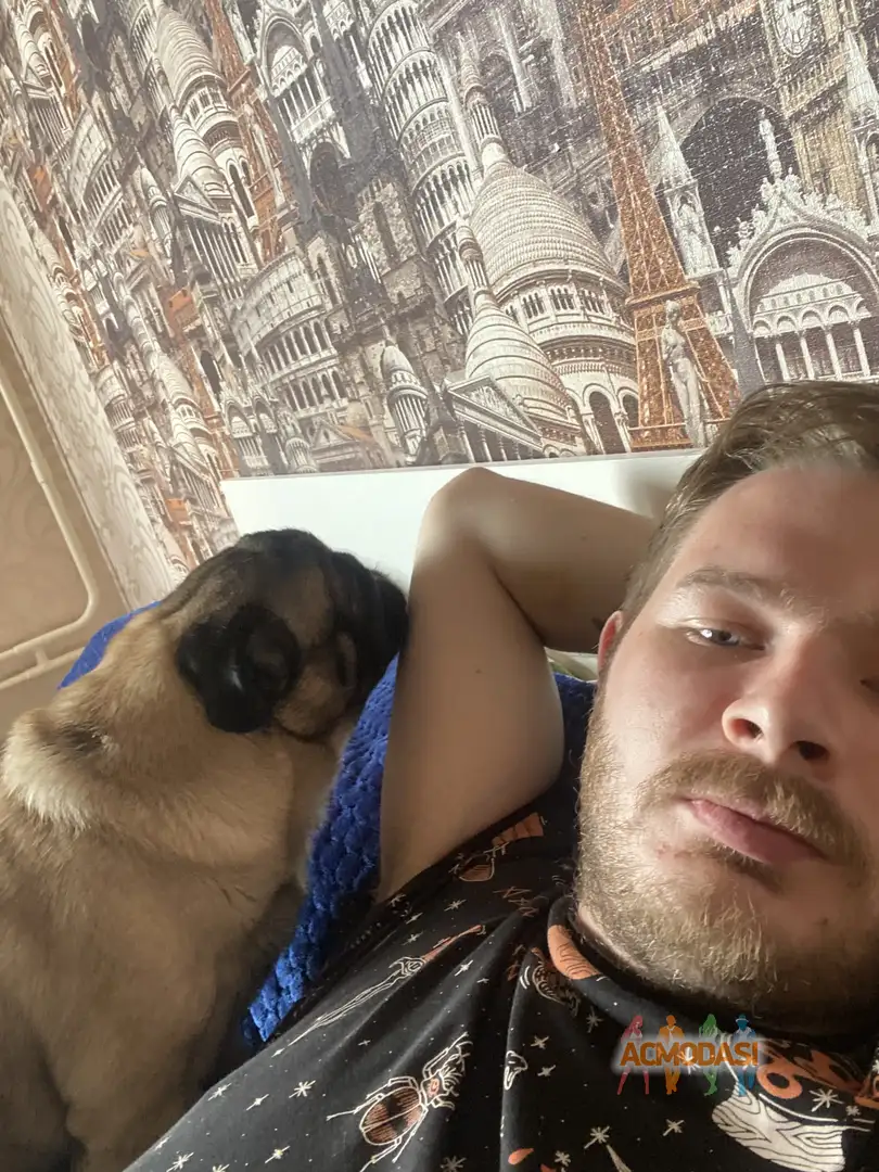 Георгий   фото №1951226. Загружено 25 Апреля 2026