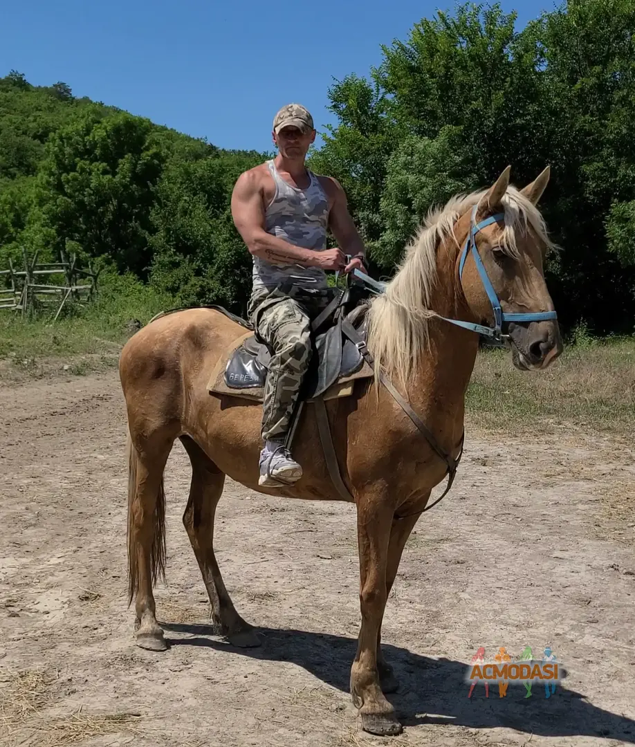 Вадим Николаевич  фото №1927801. Загружено 27 Мая 2025