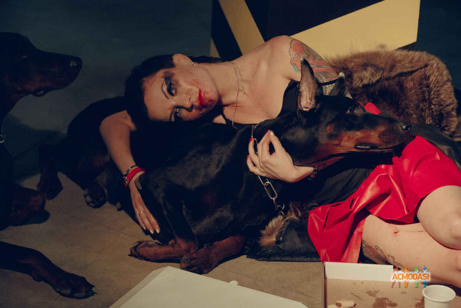 Ирина Александровна Ульченко фото №1465882. Загружено 28 Мая 2019