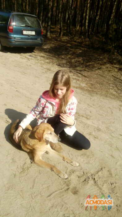 Полина  Кармачёва фото №931571. Загружено 05 Октября 2015