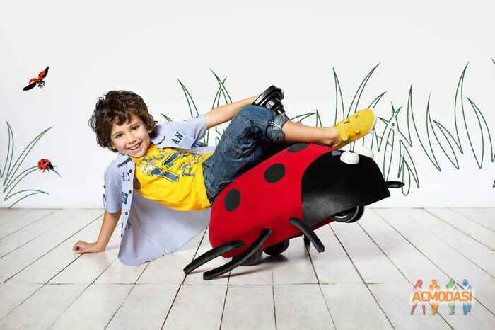 Тимур  Мирзаев фото №1031299. Загружено 30 Апреля 2016