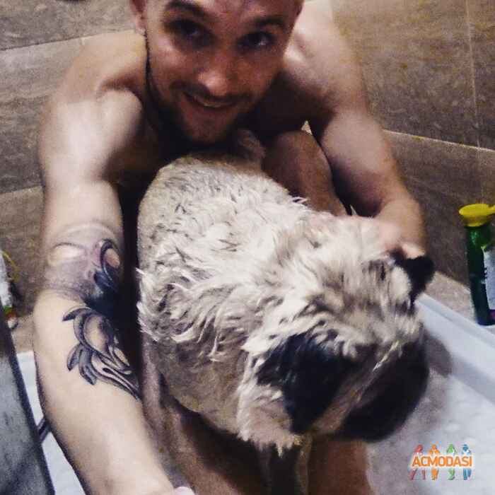 Марк   фото №923580. Загружено 19 Сентября 2015