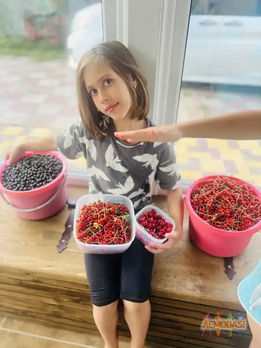 Ульяна Валентиновна Sav фото №1939628. Загружено 27 Октября 2025