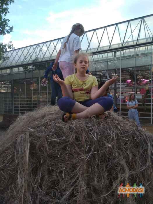 Полина Александровна Ромащенко фото №1553646. Загружено 27 Декабря 2019