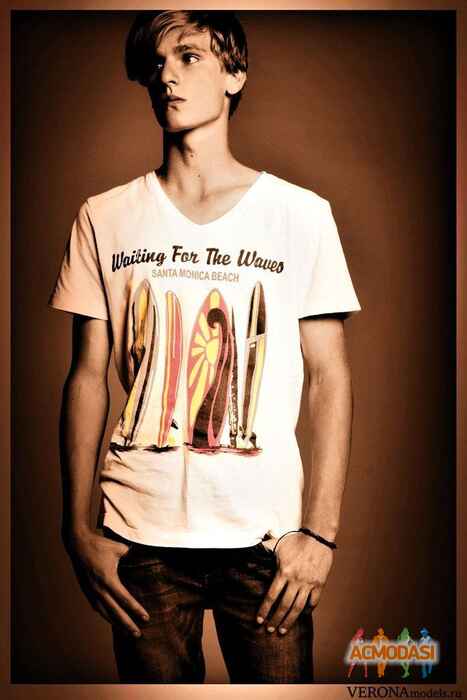 Серый  Грач фото №839575. Загружено 25 Марта 2015