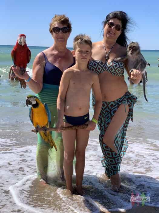 Ирина  Лисовская фото №1663435. Загружено 07 Декабря 2020