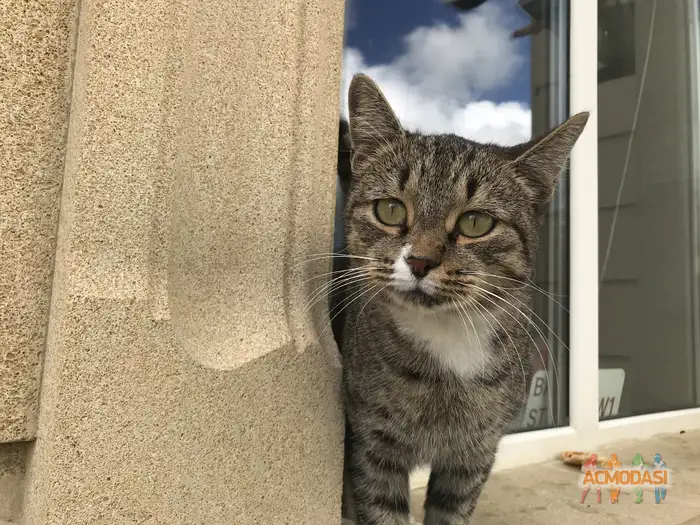 Каренвейзэ   фото №1938575. Загружено 13 Октября 2025