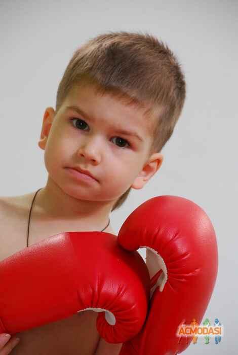 Давид  Мокросноп фото №223187. Загружено 13 Июля 2012