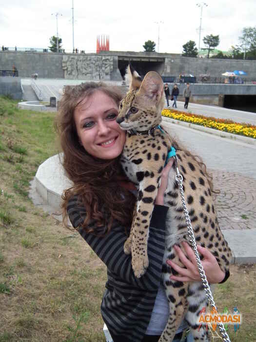 Алена   фото №230968. Загружено 30 Июля 2012