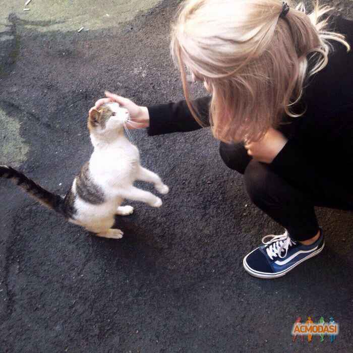 Маргарита Павловна Колодникова фото №1141223. Загружено 31 Января 2017