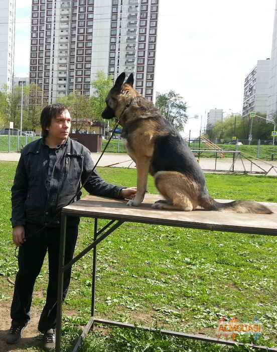 Андрей  Пластинин фото №1650726. Загружено 28 Октября 2020