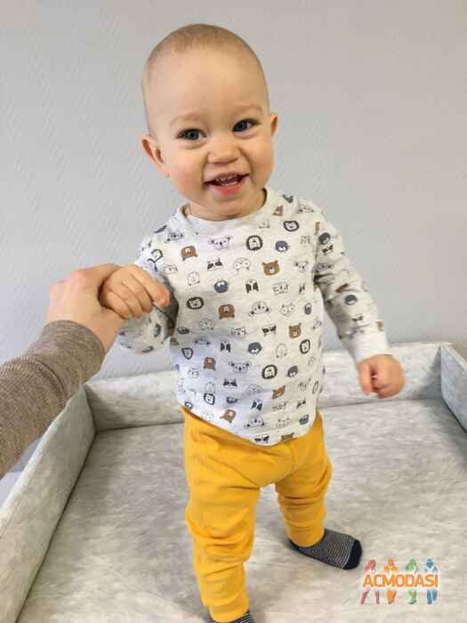 Лев   фото №1586672. Загружено 25 Марта 2020