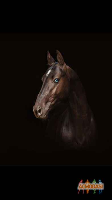 Александра Николаевна Иванова фото №833106. Загружено 11 Марта 2015