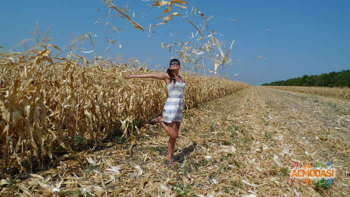 Мария Владимировна Когай фото №620328. Загружено 22 Марта 2014