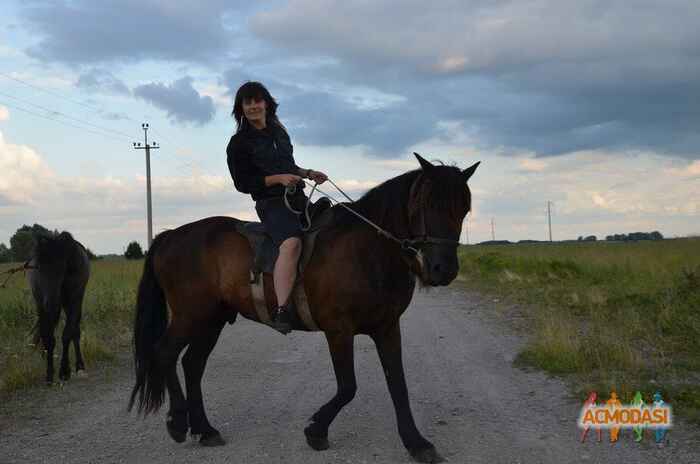 Екатерина  Поволоцкая фото №495913. Загружено 21 Сентября 2013
