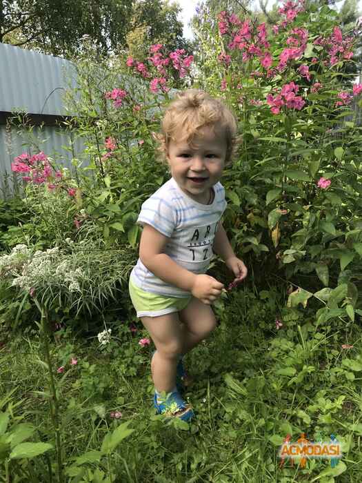 Савелий Павлович Поляков фото №1491420. Загружено 26 Июля 2019