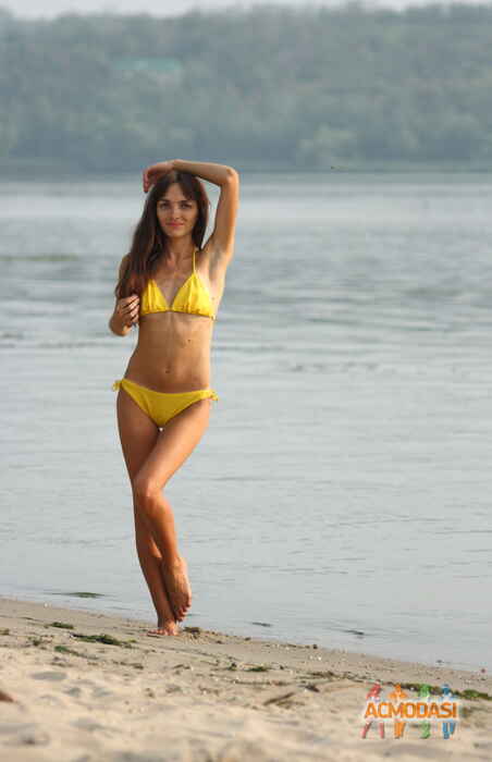 Лилия   фото №823419. Загружено 16 Февраля 2015