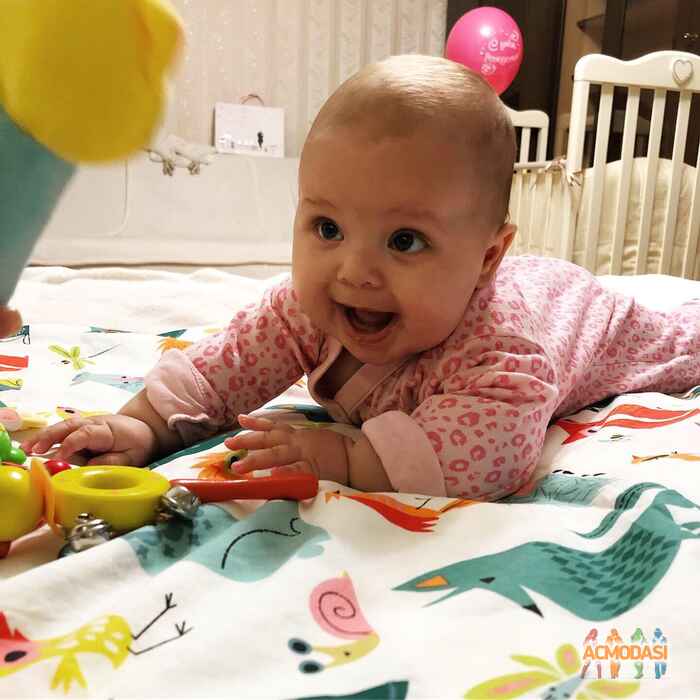 Арианна Артёмовна Павлова фото №1544735. Загружено 28 Ноября 2019