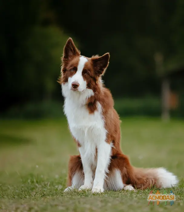 Ирина  Чикина фото №1912447. Загружено 20 Ноября 2024