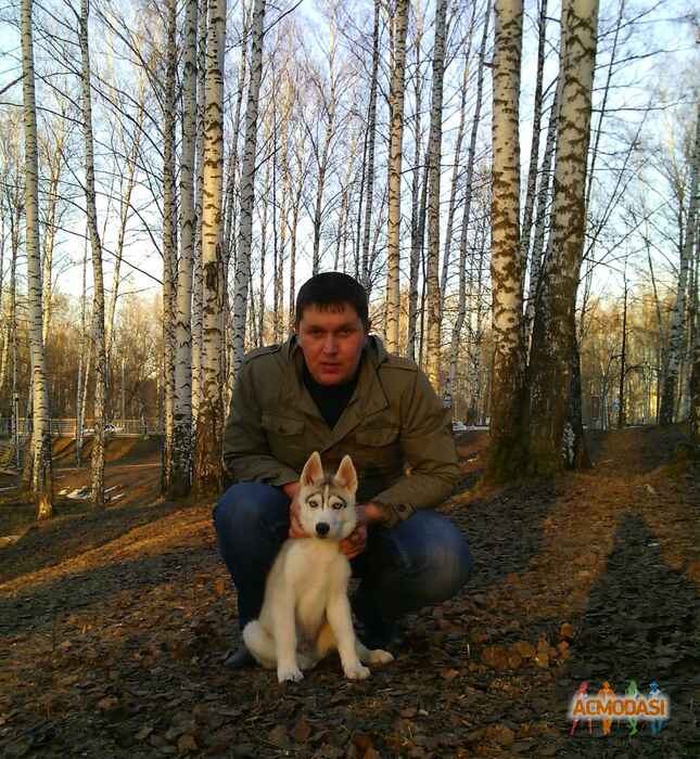 Дмитрий Иванович Караваев фото №949789. Загружено 05 Ноября 2015