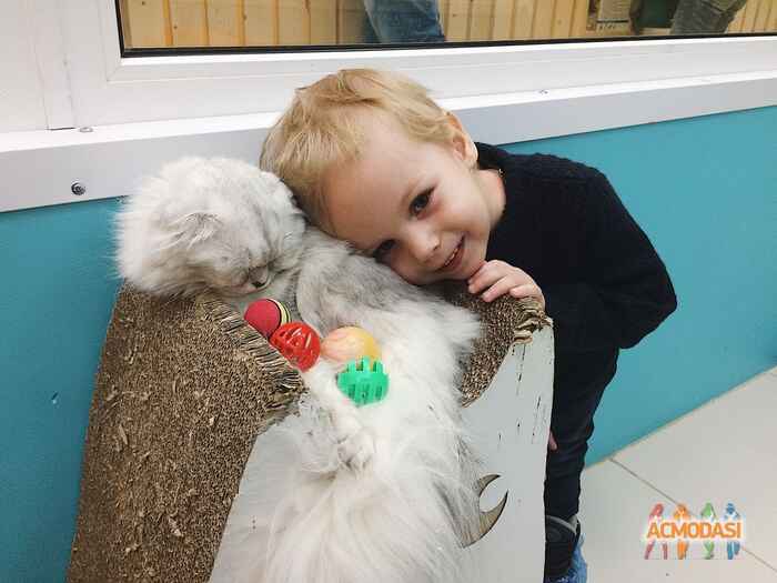 Алексей  Пеков фото №1242187. Загружено 26 Октября 2017