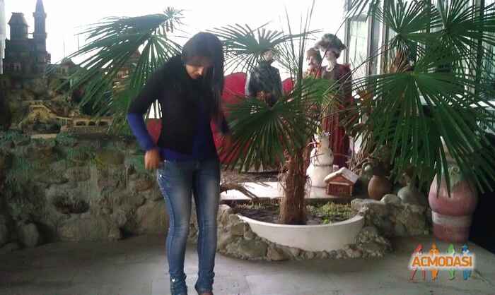 Арпине Грачиковна Мартиросян фото №909108. Загружено 20 Августа 2015