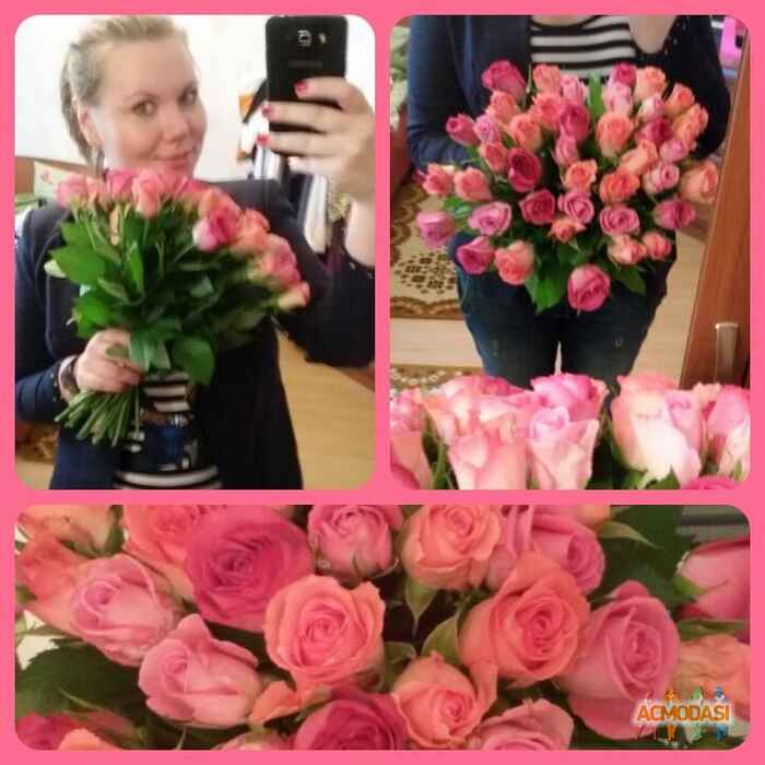 Маргарита Александровна Купцова фото №887223. Загружено 16 Июля 2015