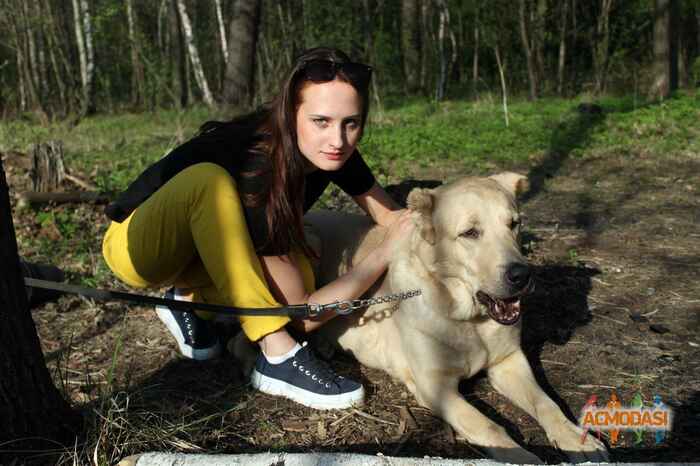 Валерия   фото №865753. Загружено 27 Мая 2015