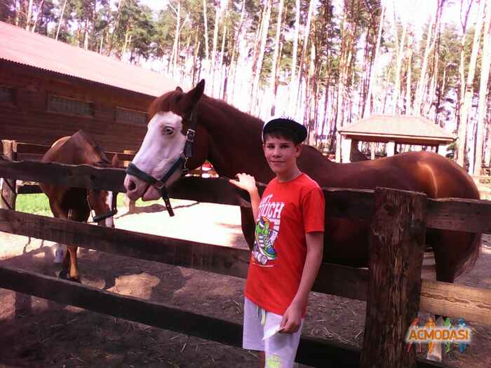 Илья   фото №907891. Загружено 18 Августа 2015