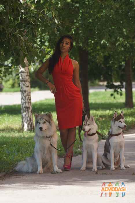 Аделя  Сибиль фото №911778. Загружено 25 Августа 2015