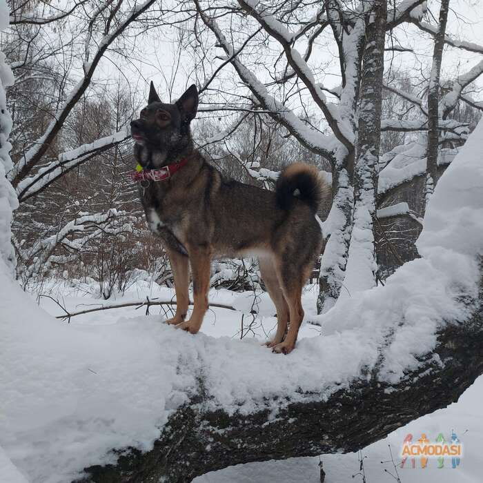 Ксения   фото №1771620. Загружено 18 Января 2022