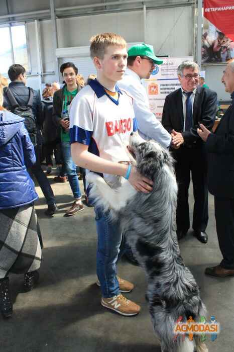 Никита Аркадьевич Еремин фото №954122. Загружено 12 Ноября 2015