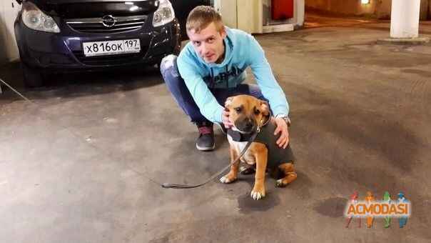 Слава  Шамов фото №620450. Загружено 23 Марта 2014