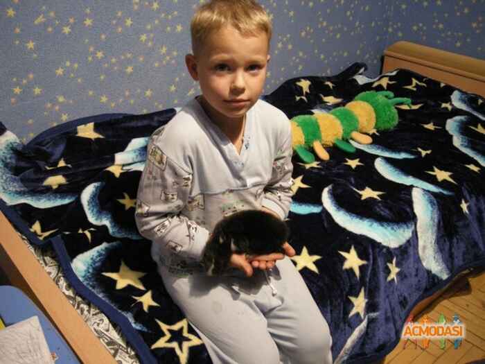 денис дмитриевич тёмносагатый фото №178965. Загружено 05 Апреля 2012