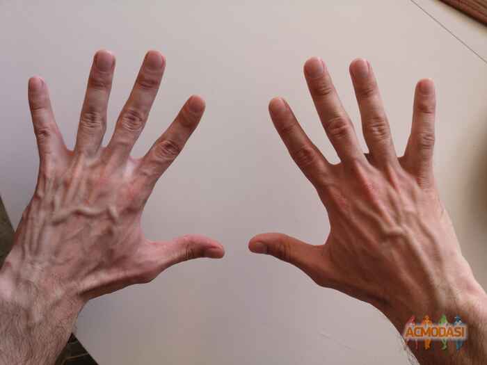 Александр  Барбарош фото №1667302. Загружено 19 Декабря 2020