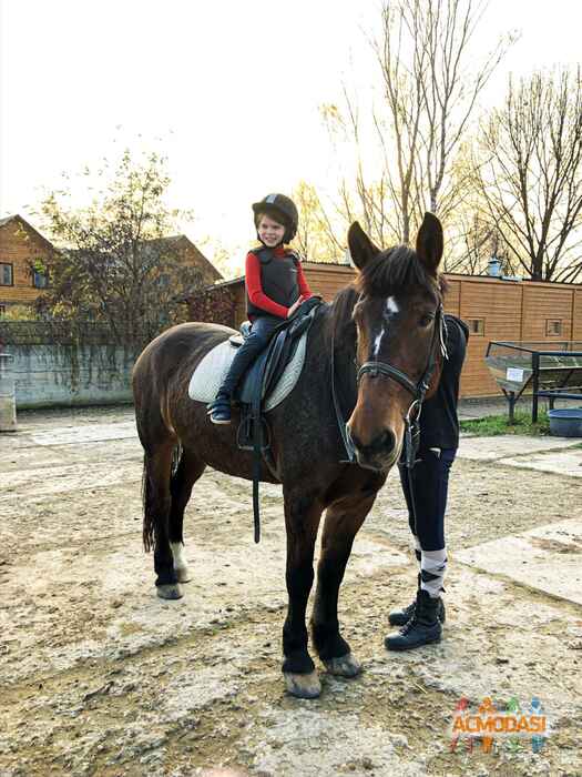 Мария Никитична Свечкарева фото №1543752. Загружено 25 Ноября 2019