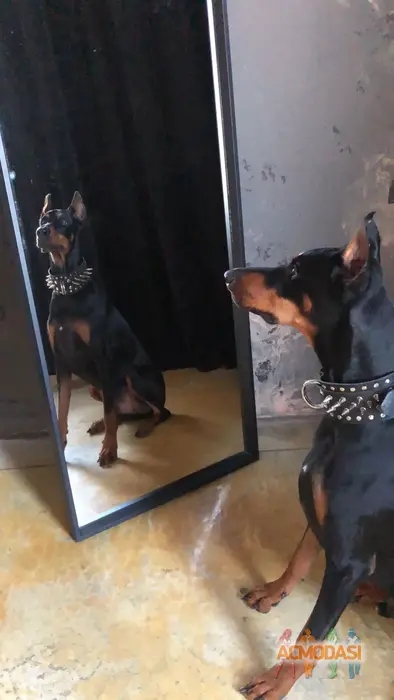 Инна   фото №1872636. Загружено 31 Октября 2023