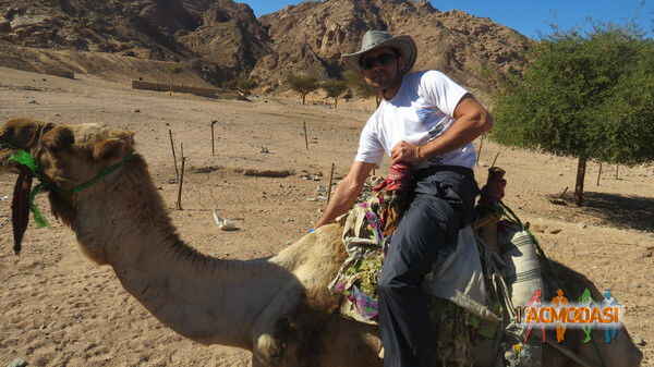 Андрей Анатольевич Степанов фото №419831. Загружено 31 Мая 2013